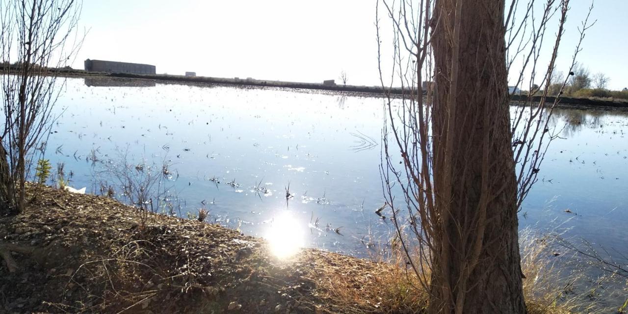 Apartamento Gelum Delta Del Ebro แซนต์ โจเม เดินเวจา ภายนอก รูปภาพ